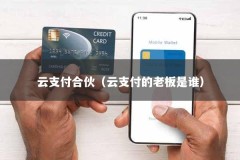 云支付合伙（云支付的老板是谁）