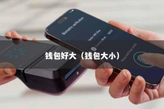 钱包好大（钱包大小）